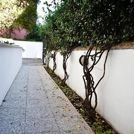Falda House Apartment *